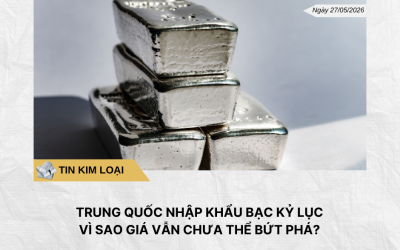 Phân tích hằng ngày (5)