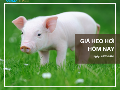 Thị trường thịt heo (1)