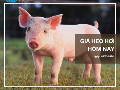 Thị trường thịt heo