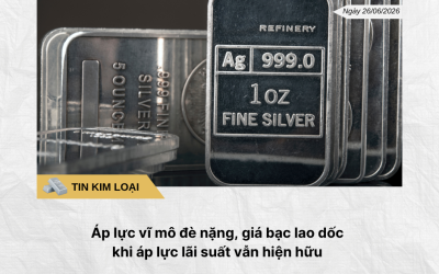 Phân tích hằng ngày