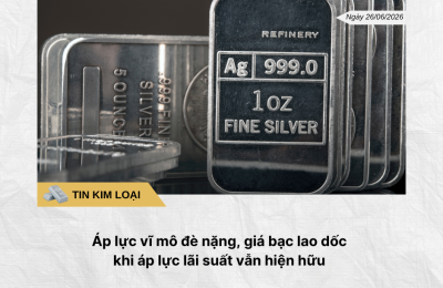Phân tích hằng ngày