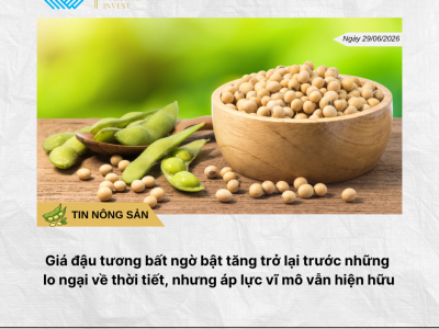 Phân tích hằng ngày (2)