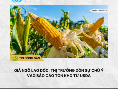 Phân tích hằng ngày (3)