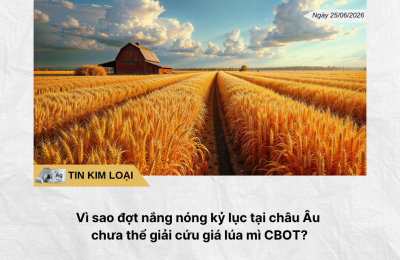 Phân tích hằng ngày