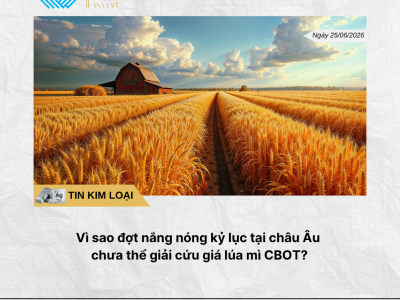 Phân tích hằng ngày