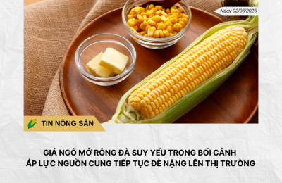 Phân tích hằng ngày (7)