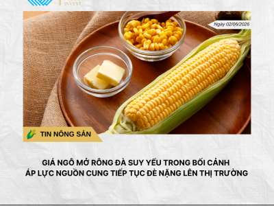 Phân tích hằng ngày (7)