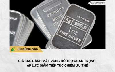 Phân tích hằng ngày (8)