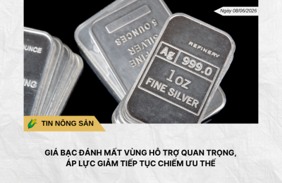 Phân tích hằng ngày (8)