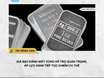 Phân tích hằng ngày (8)
