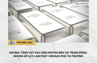 Phân tích hằng ngày (9)