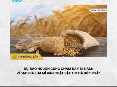 Phân tích hằng ngày (11)