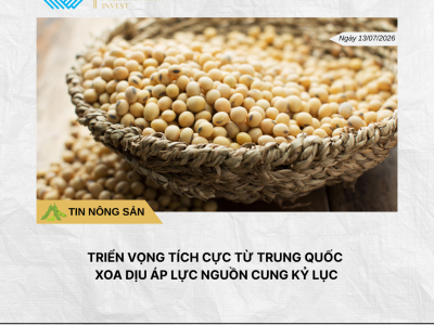 Phân tích hằng ngày (12)