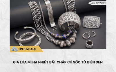 Phân tích hằng ngày (14)