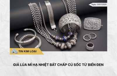 Phân tích hằng ngày (14)