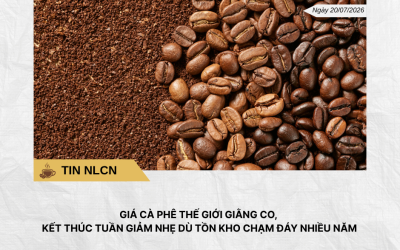 Phân tích hằng ngày (16)