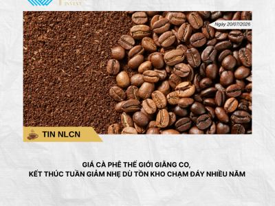 Phân tích hằng ngày (16)