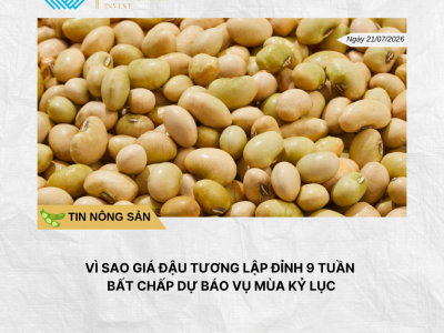 Phân tích hằng ngày (17)