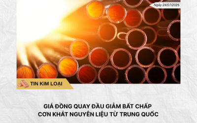 Phân tích hằng ngày (18)