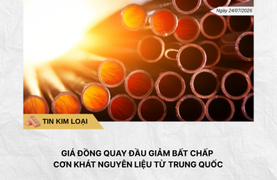 Phân tích hằng ngày (18)