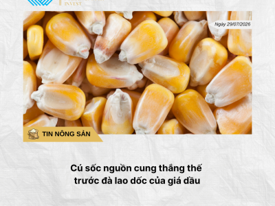 Phân tích hằng ngày (21)