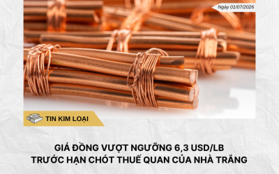 Phân tích hằng ngày (4)