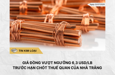 Phân tích hằng ngày (4)