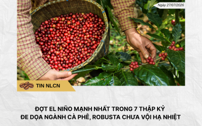Phân tích hằng ngày