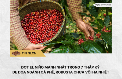 Phân tích hằng ngày