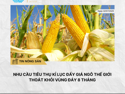 Phân tích hằng ngày (5)