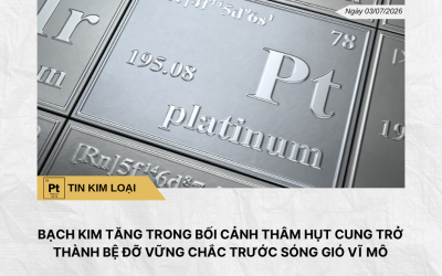 Phân tích hằng ngày (6)