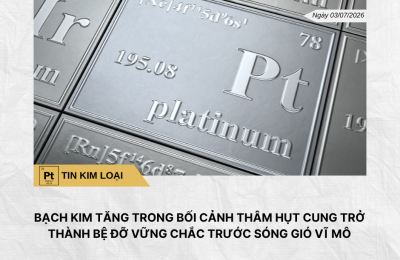 Phân tích hằng ngày (6)