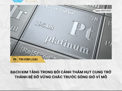 Phân tích hằng ngày (6)