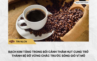 Phân tích hằng ngày (7)