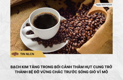 Phân tích hằng ngày (7)