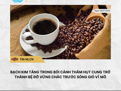Phân tích hằng ngày (7)