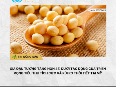 Phân tích hằng ngày (8)