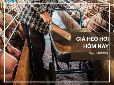 Thị trường thịt heo (11)