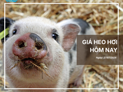 Thị trường thịt heo