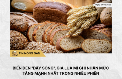 Phân tích hằng ngày (1)