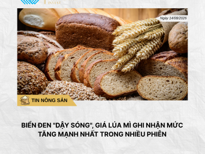 Phân tích hằng ngày (1)