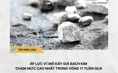 Phân tích hằng ngày (1)