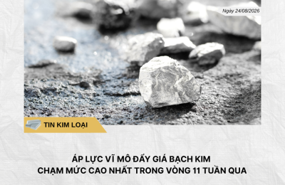 Phân tích hằng ngày (1)
