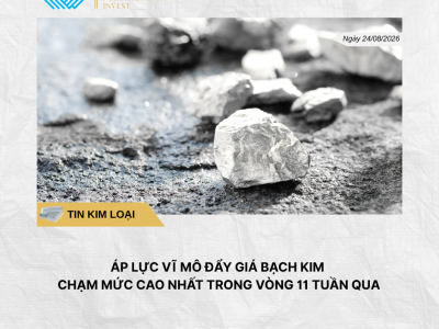 Phân tích hằng ngày (1)
