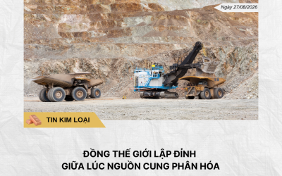 Phân tích hằng ngày (1)