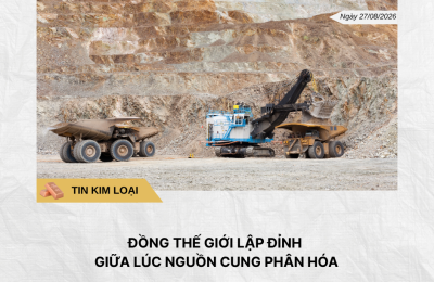 Phân tích hằng ngày (1)