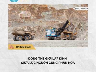 Phân tích hằng ngày (1)