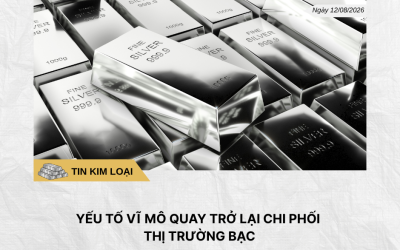 Phân tích hằng ngày