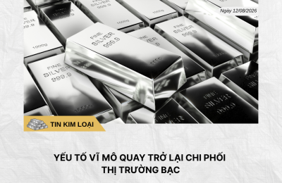 Phân tích hằng ngày