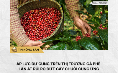 Phân tích hằng ngày (2)